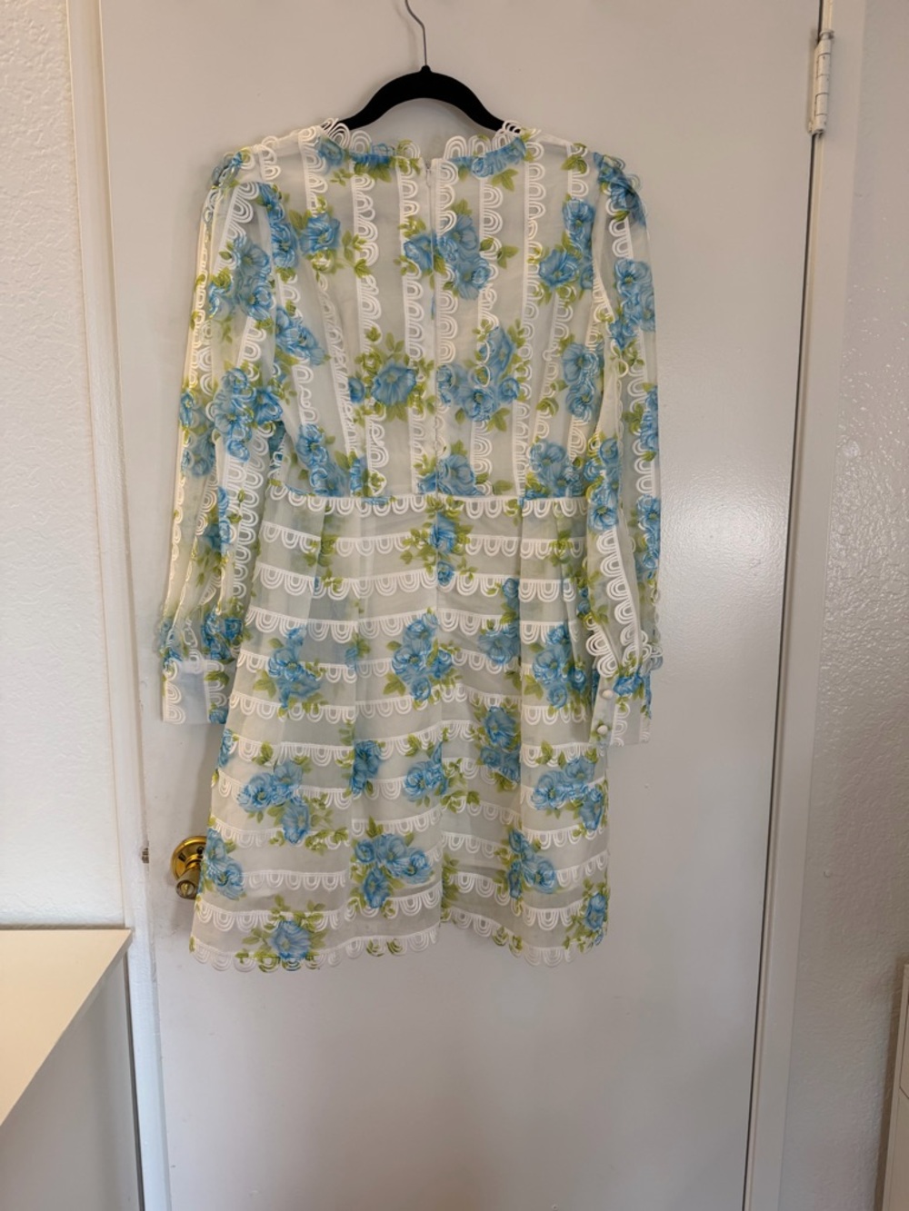 Sheer White Floral Lace Dress with Blue & Green Embroidery - Picture 5 of 9